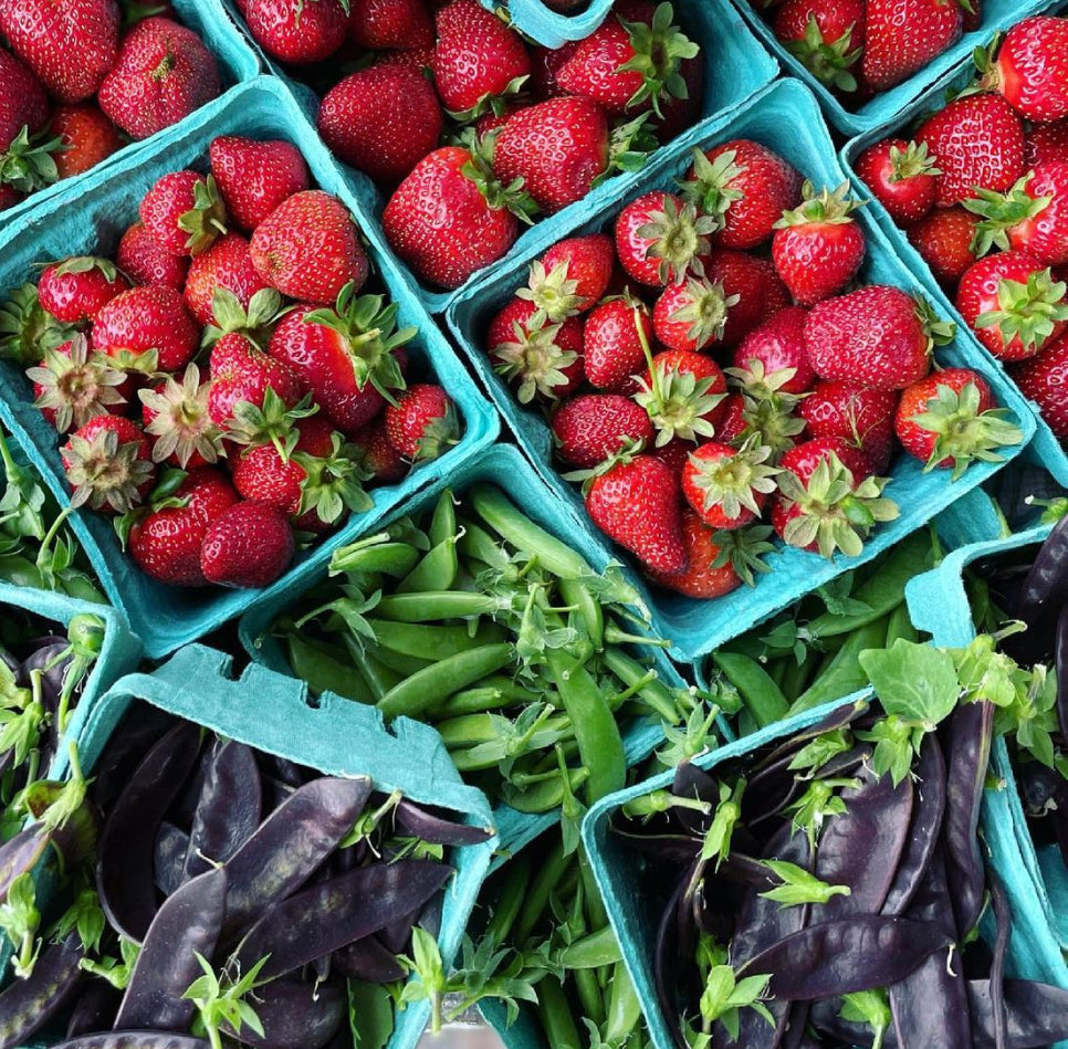 Enjoy the Sweet, Juicy Flavor of Bloomsbury Farms Fresh Local Strawberries